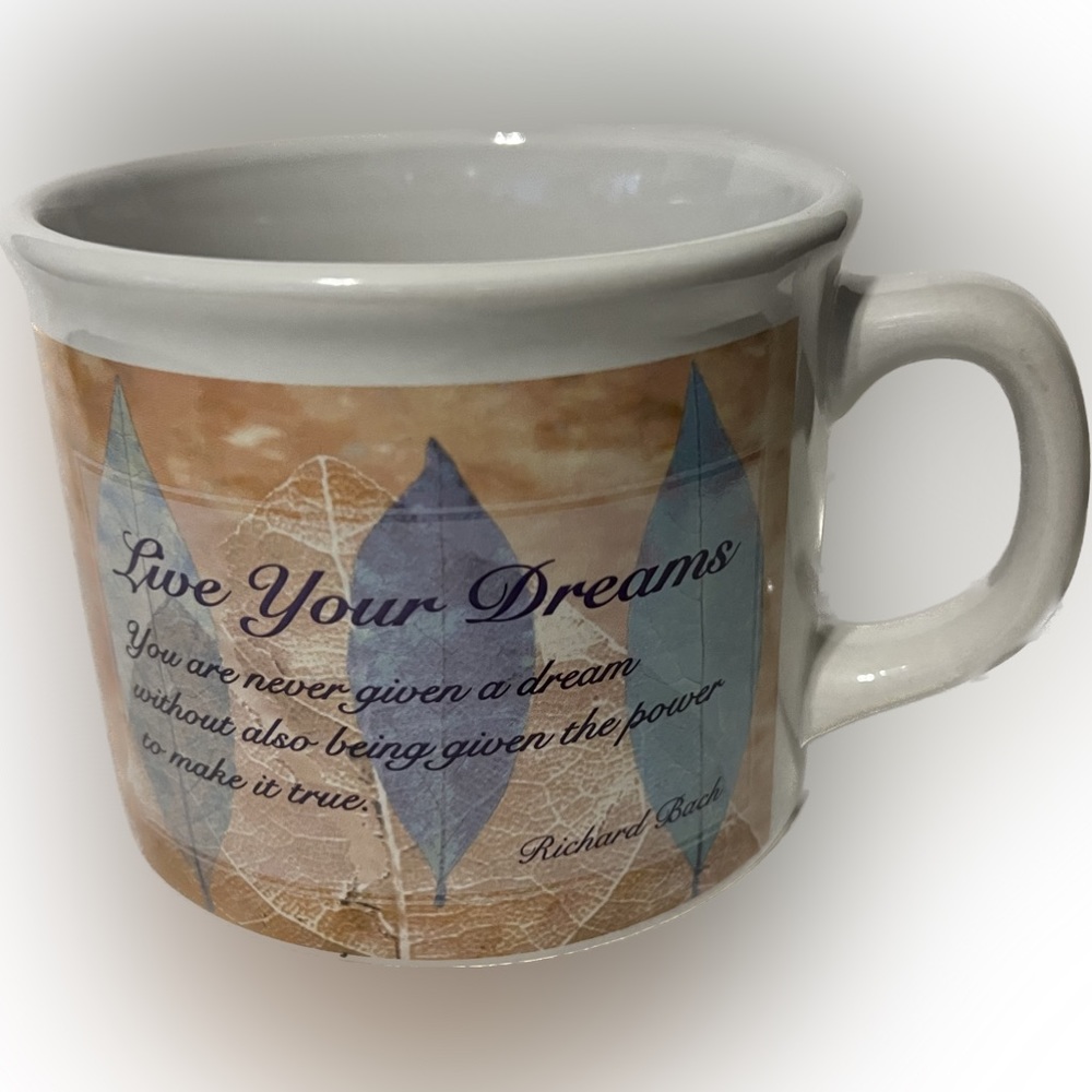 💥Vintage Chicken Soup for the Soul Love Your Dreams Soup Mug Cup Tumbler  2005